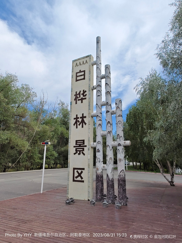 哈巴河中国第一白桦林景区