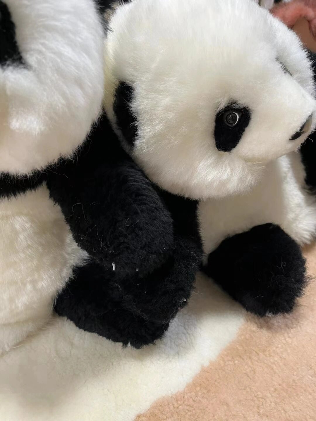 大熊猫 94 毛毛 九月 开始毛茸茸专场咯 国宝大熊猫 实力出圈 颜值