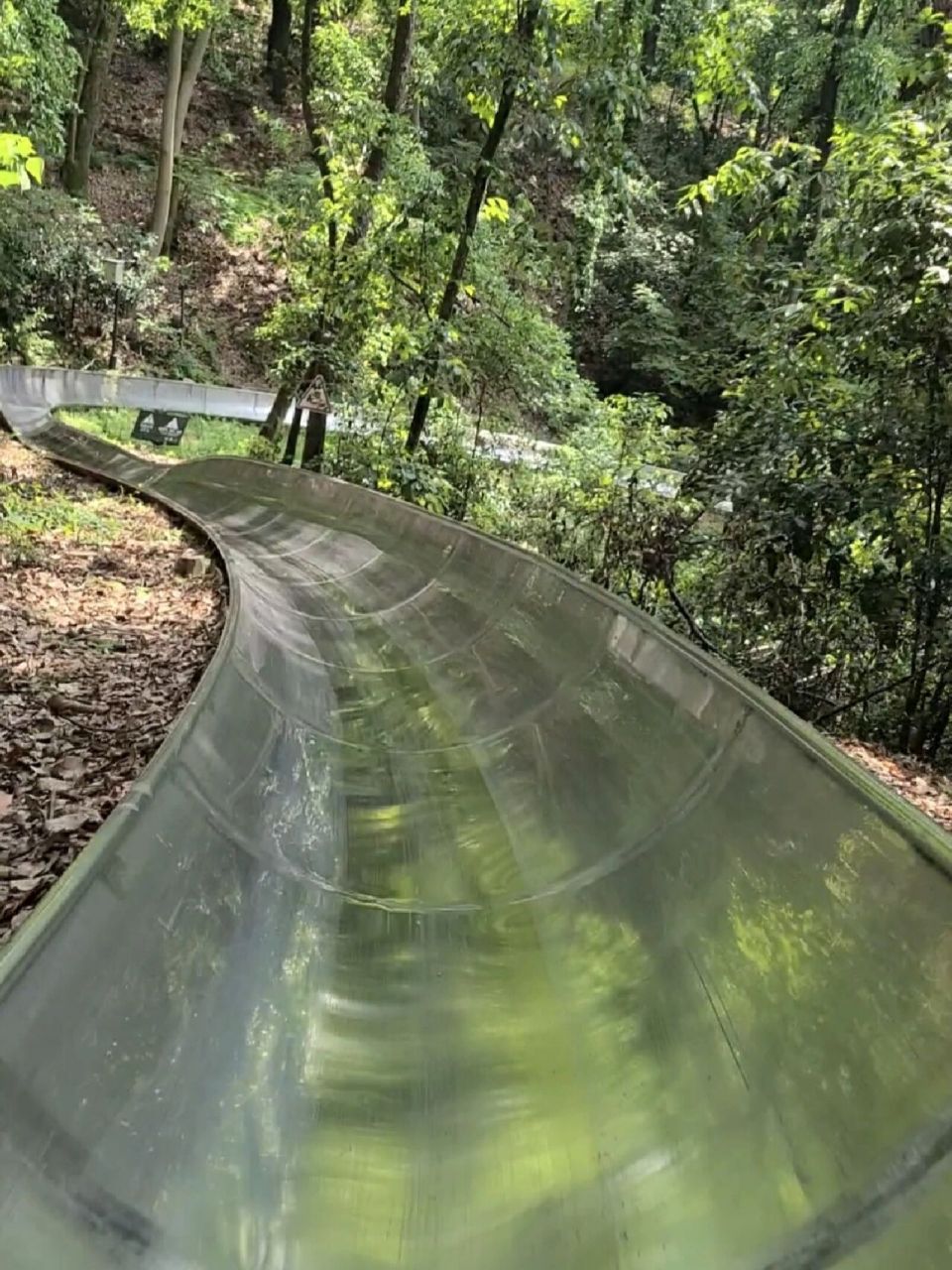 东湖磨山滑道真叫一个爽!