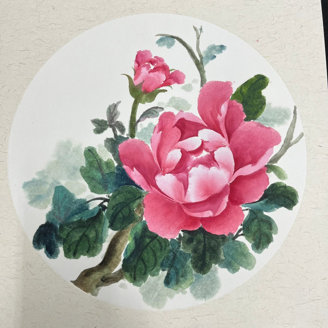 国画《牡丹》详细步骤教学96 95所用颜料: 花:大红,钛白,曙红