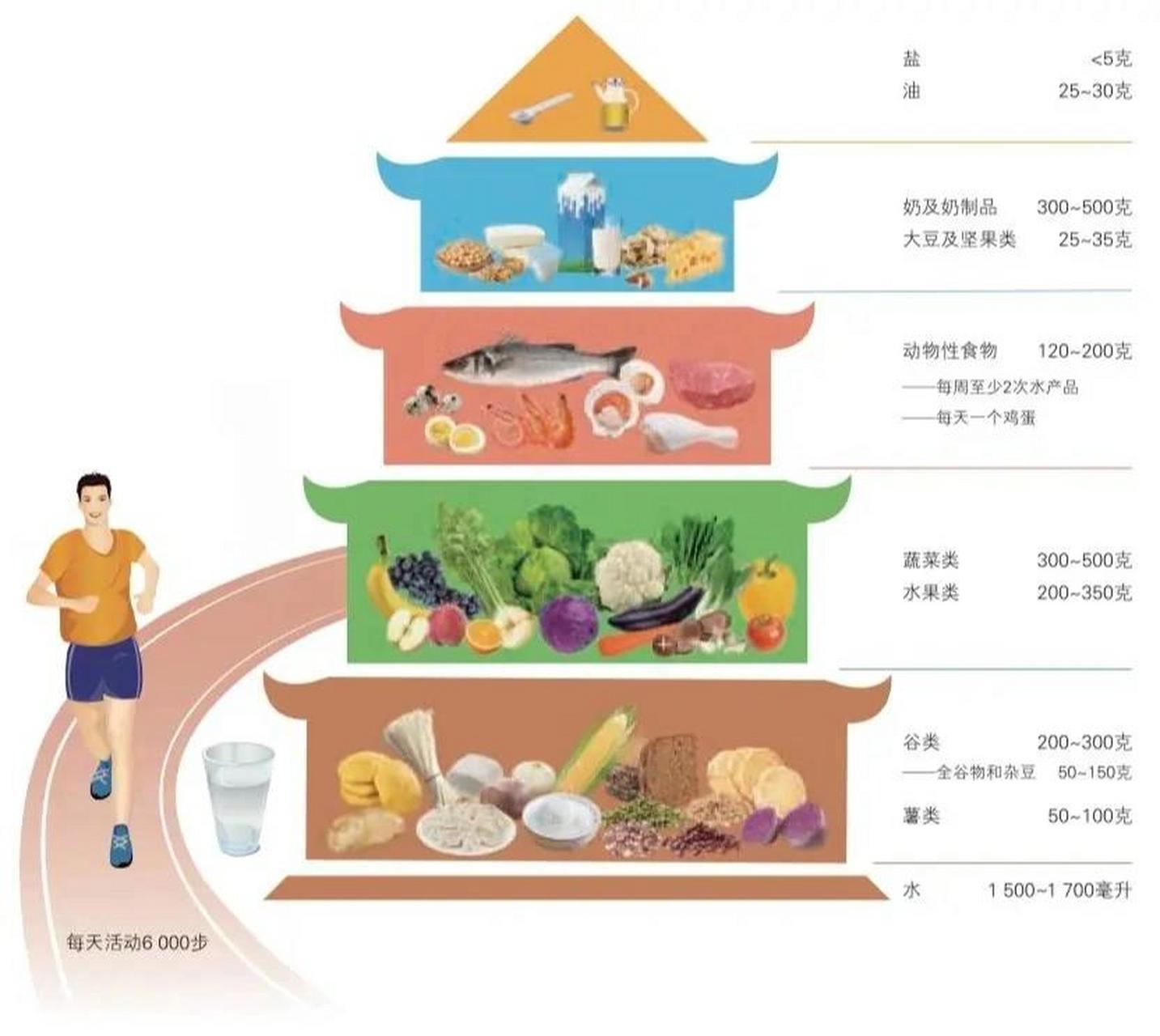 人体饮食金字塔图片