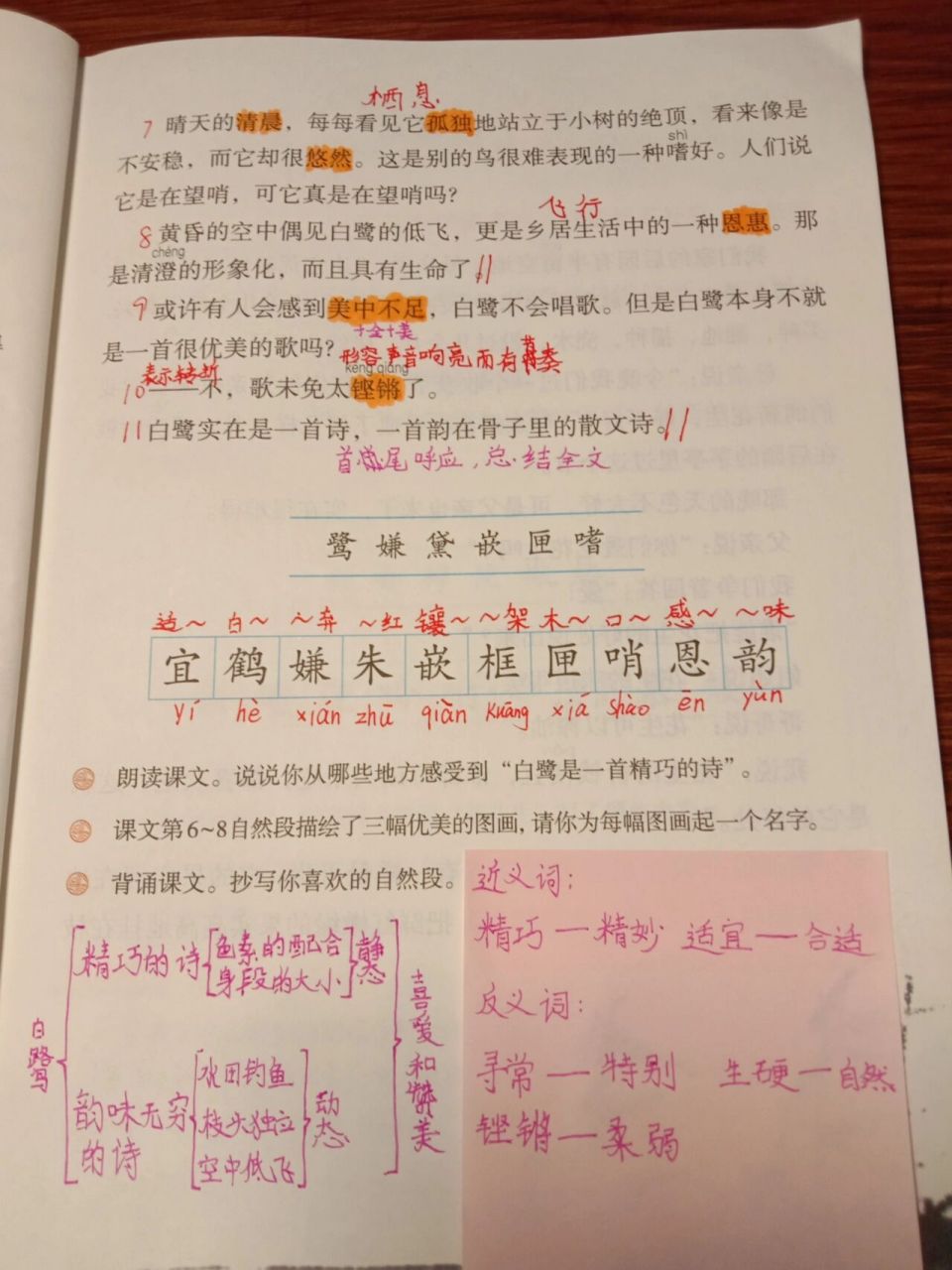 五年级上册语文第一课白鹭预习笔记