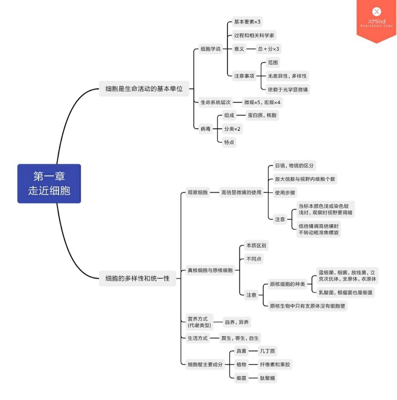 生物|必修一|第一章|思维导图 只是自己整理的,可以作为参考,但还是建