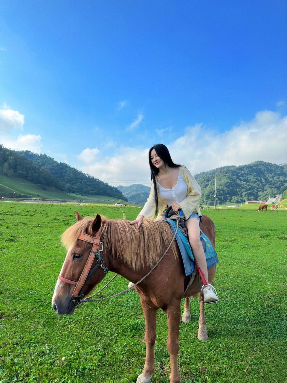 西安周边游|关山牧场旅游攻略 西安小瑞士 真的太美了 从西安出发