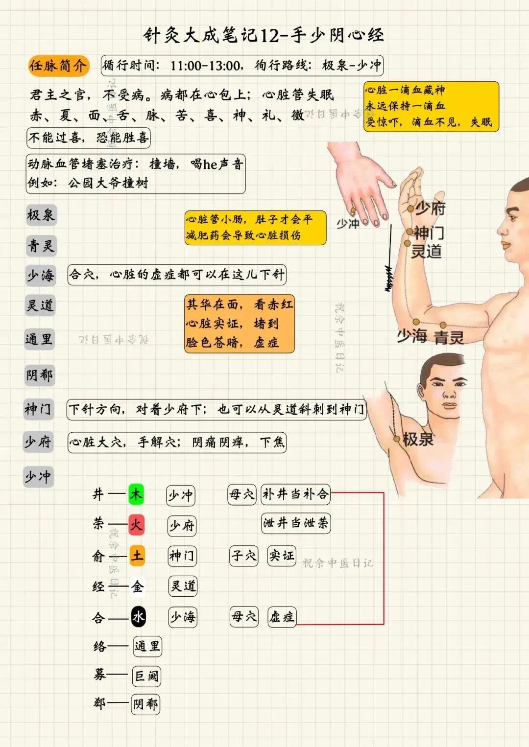 手少阴心经循行图片