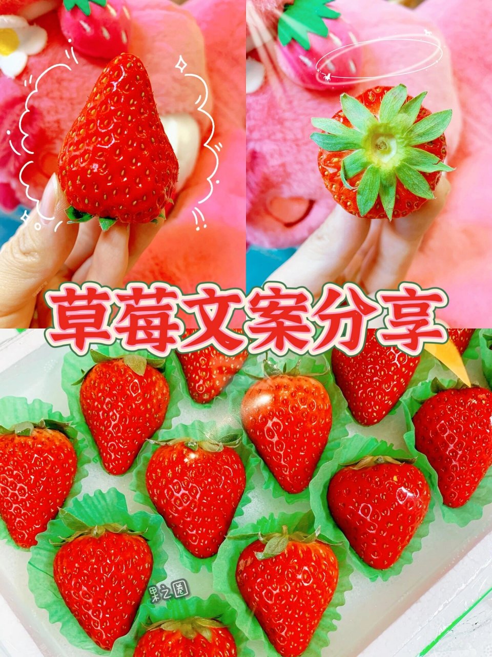 草莓文案分享——一颗偷心的"賊" 1661594冬天的丹东99,个大