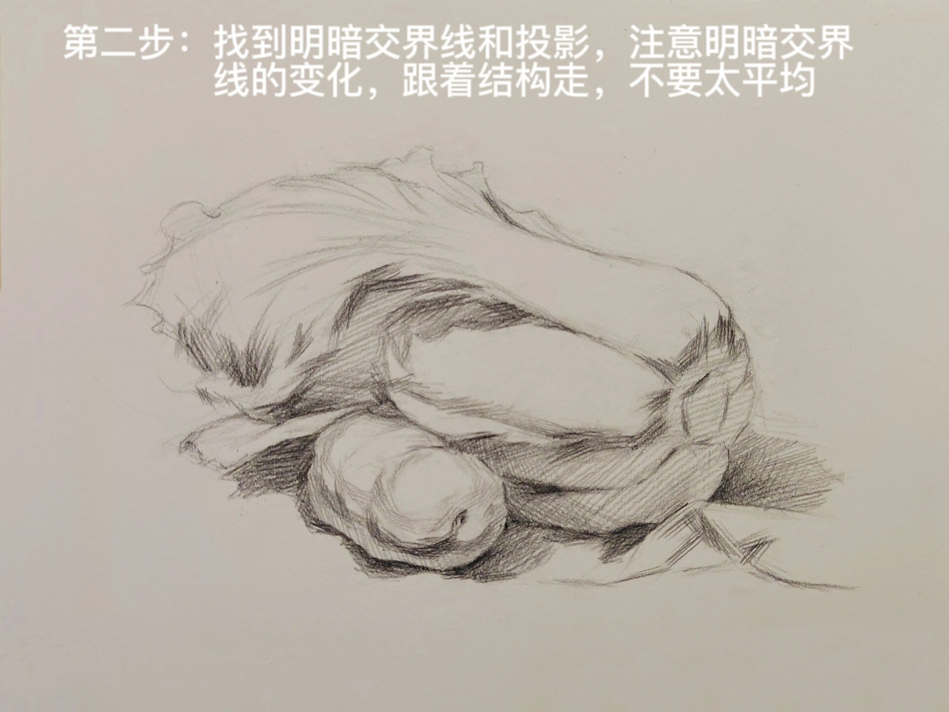 白菜素描画图片大全图片