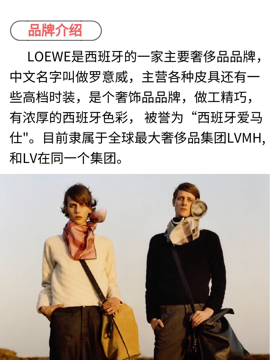 西班牙奢侈品牌loewe图片