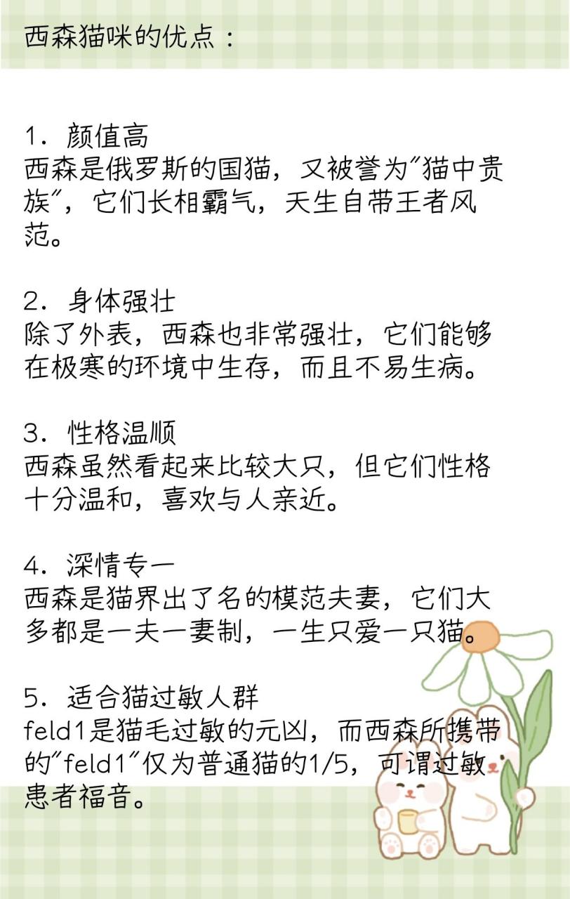 西森猫咪的优点: 1.