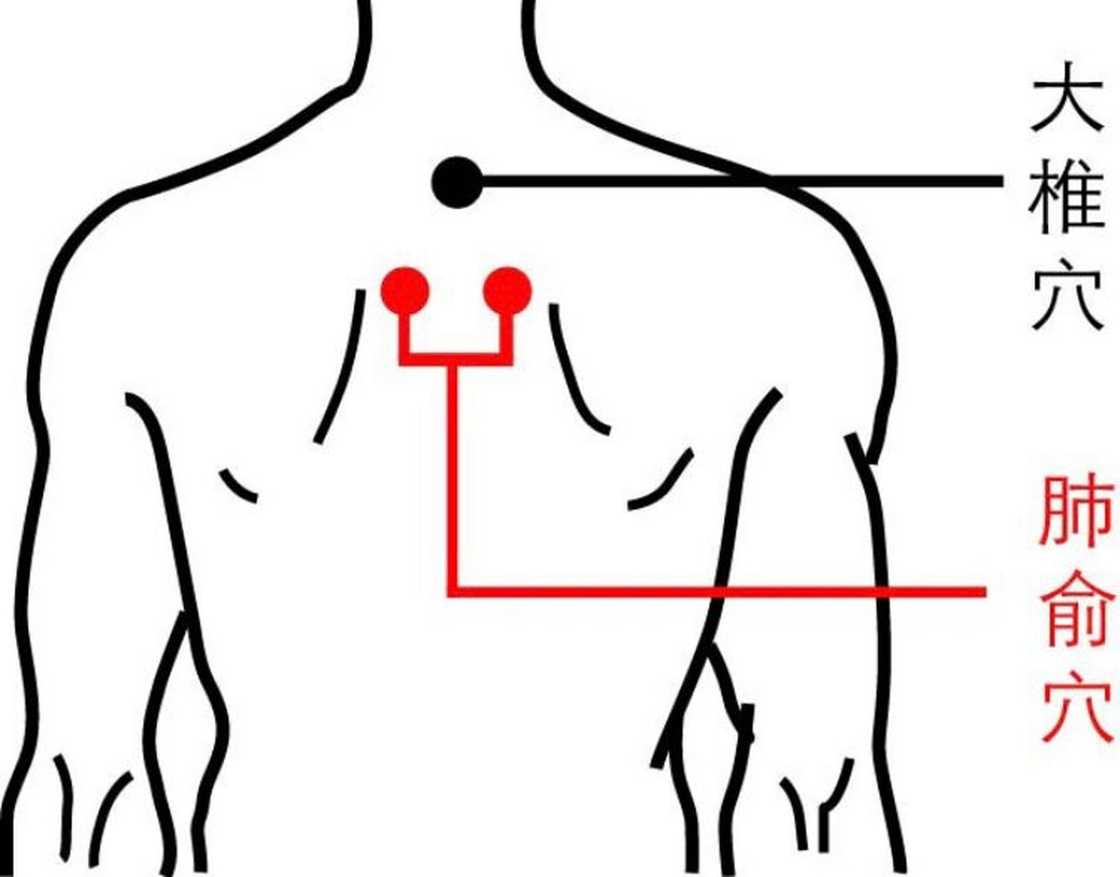 肺部对应后背哪个位置图片