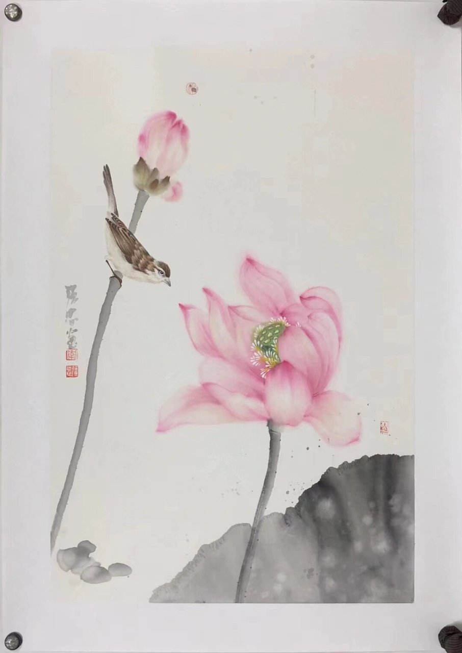 手绘国画荷花禅韵 荷花有禅意,自古不染尘.淡雅的手绘荷花,意境幽远.