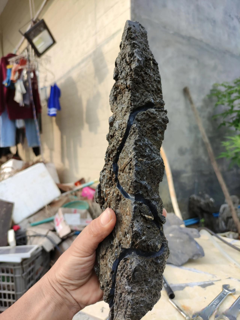 石头开槽,盆景附石!盆景附石