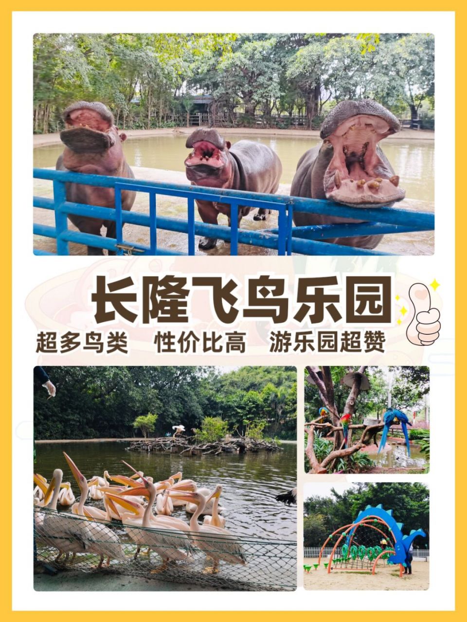 广州长隆飞鸟乐园超强攻略,拿走不谢 性价比超高的长隆飞鸟乐园,目前