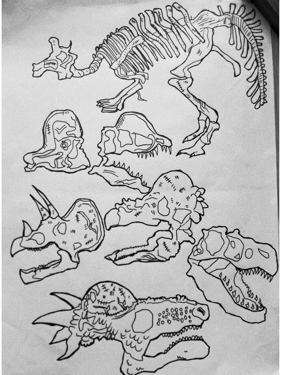 🦖速写恐龙化石(2021-9) 🦕2021年去上海自然博物馆参观,现场看到