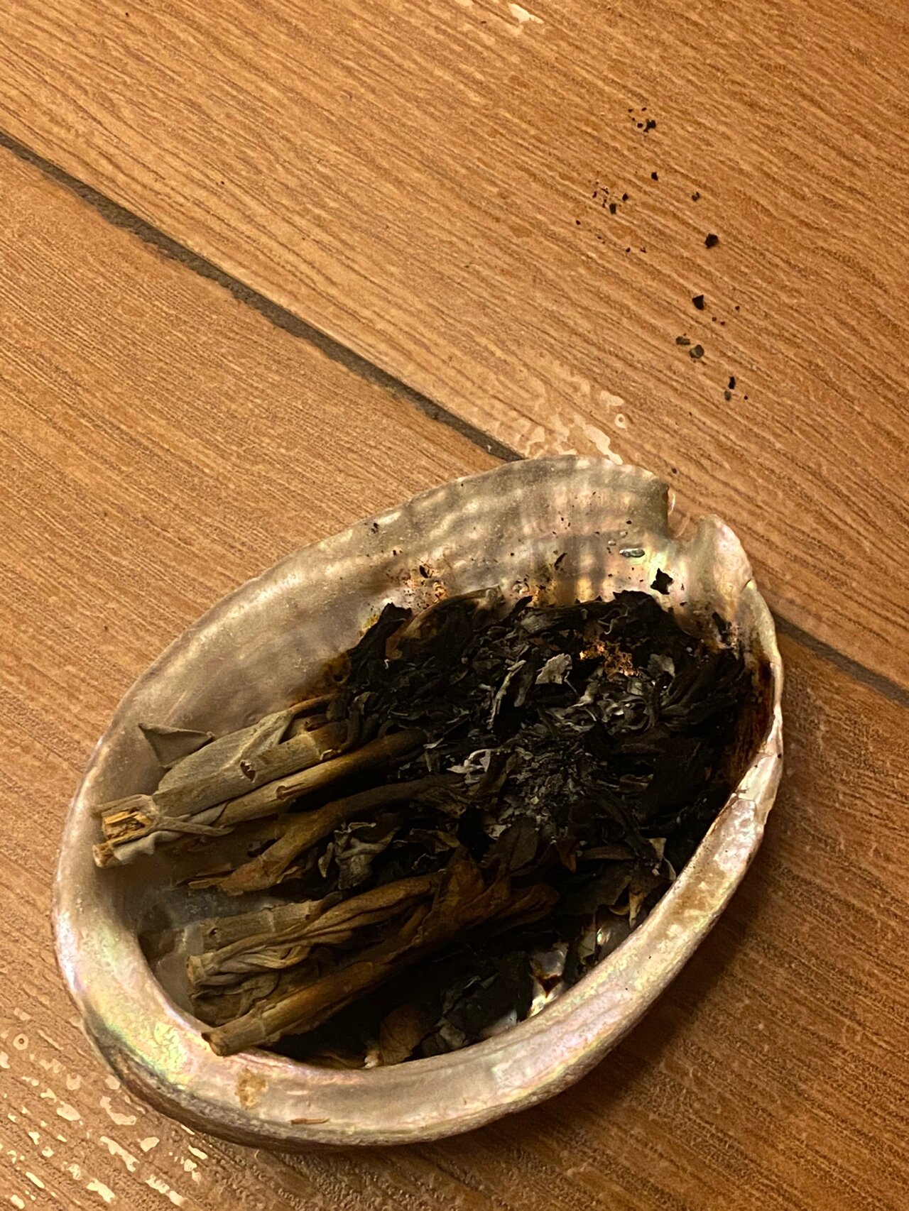 第一次烧鼠尾草