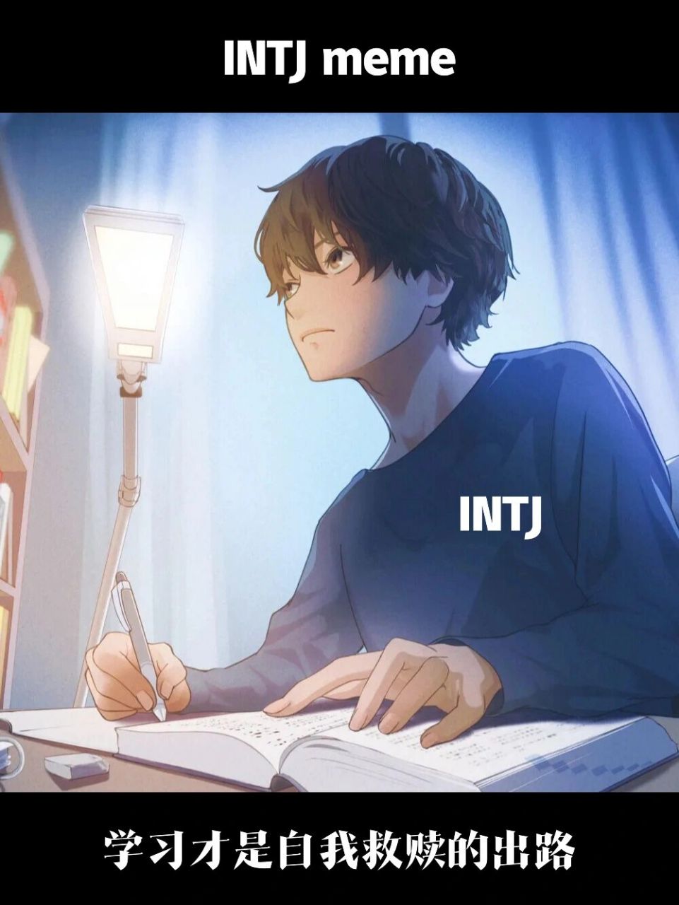 intj:生活中大多数苦痛都源于自己不够强大,而付出努力却仍无法满足