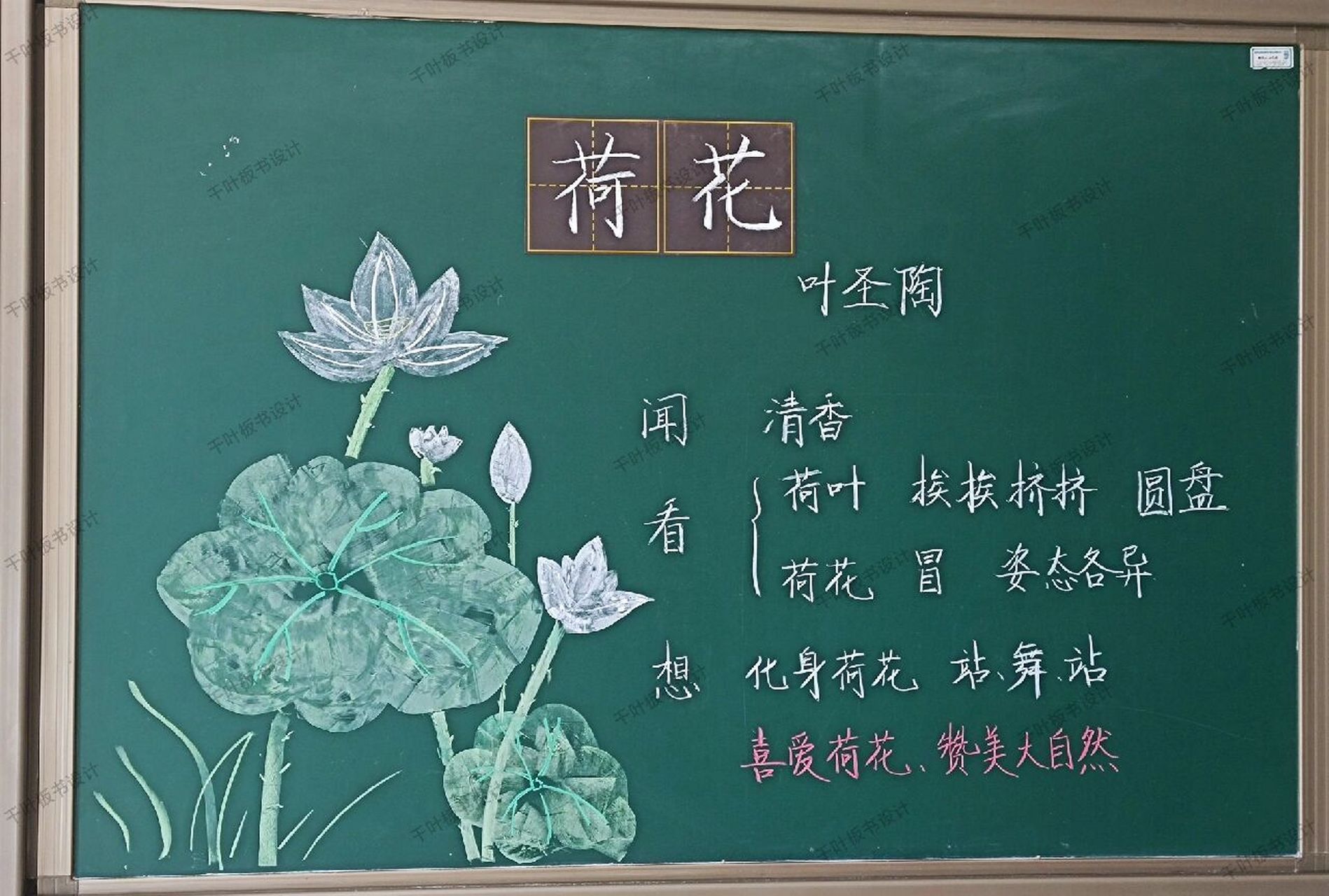 荷花板书设计一等奖图片