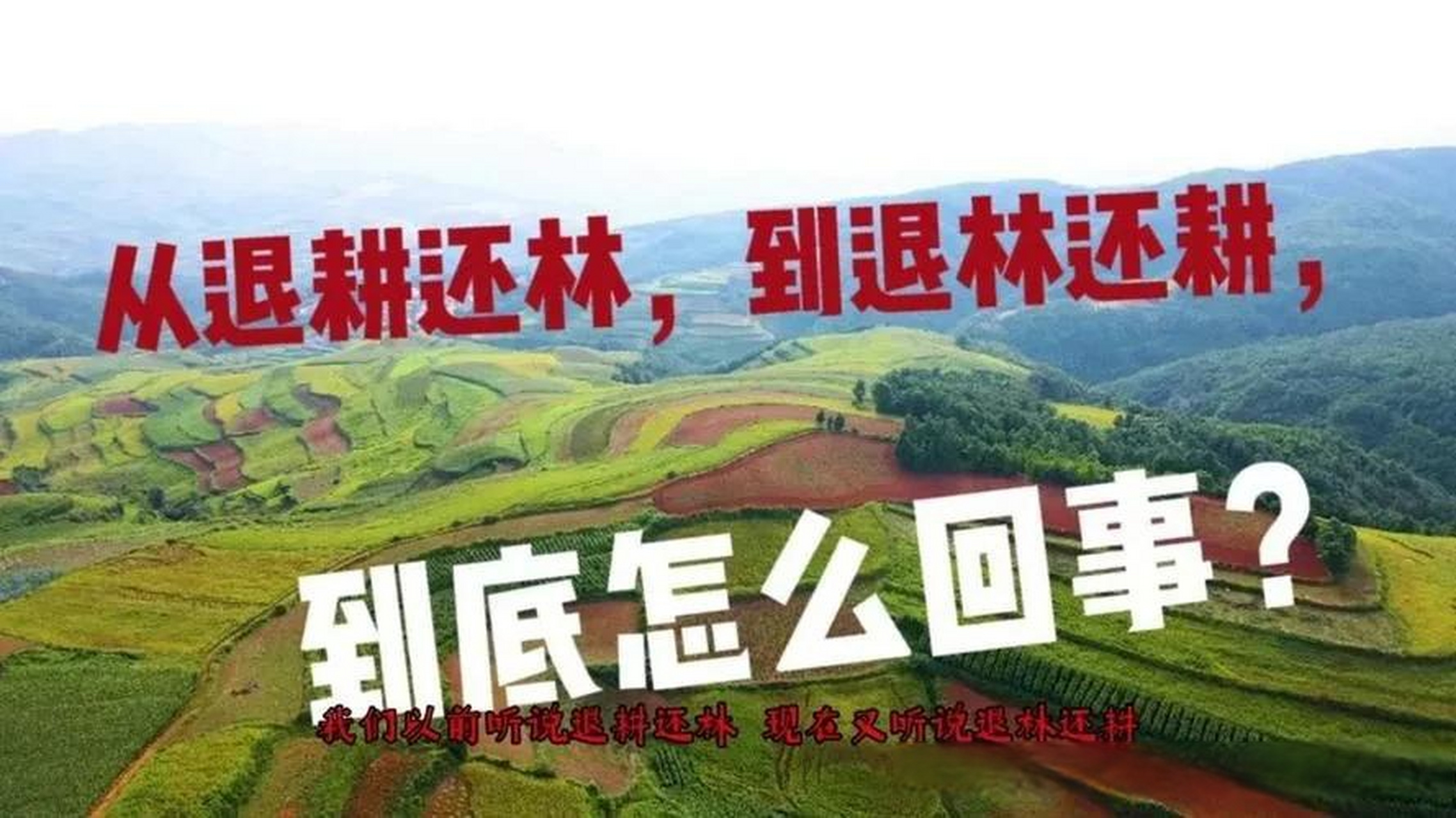 1999年退耕还林政策开始试点. 2023年退林还耕政策正式出台.