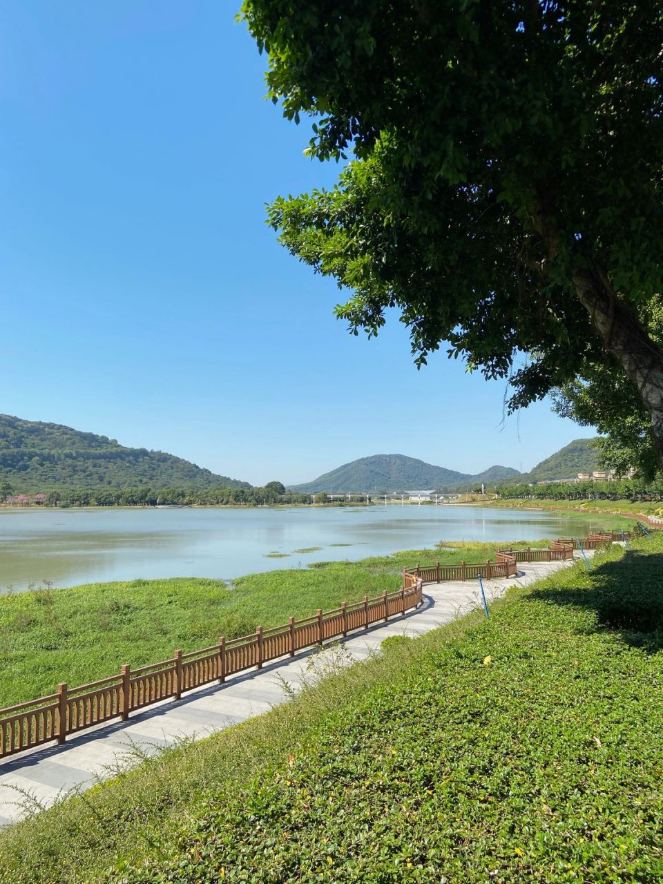 广州从化 |风云岭森林公园 | 遛娃好去处 从化这边的空气很好,来到