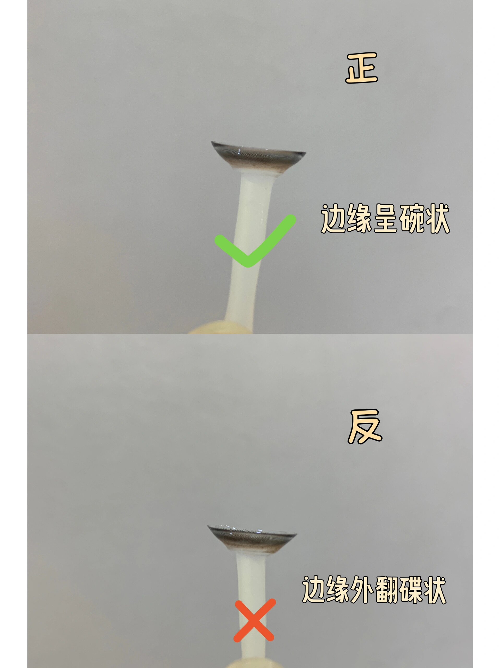 隐形眼镜09如何分正反,简单3招91教你区分7315 隐形眼镜或是