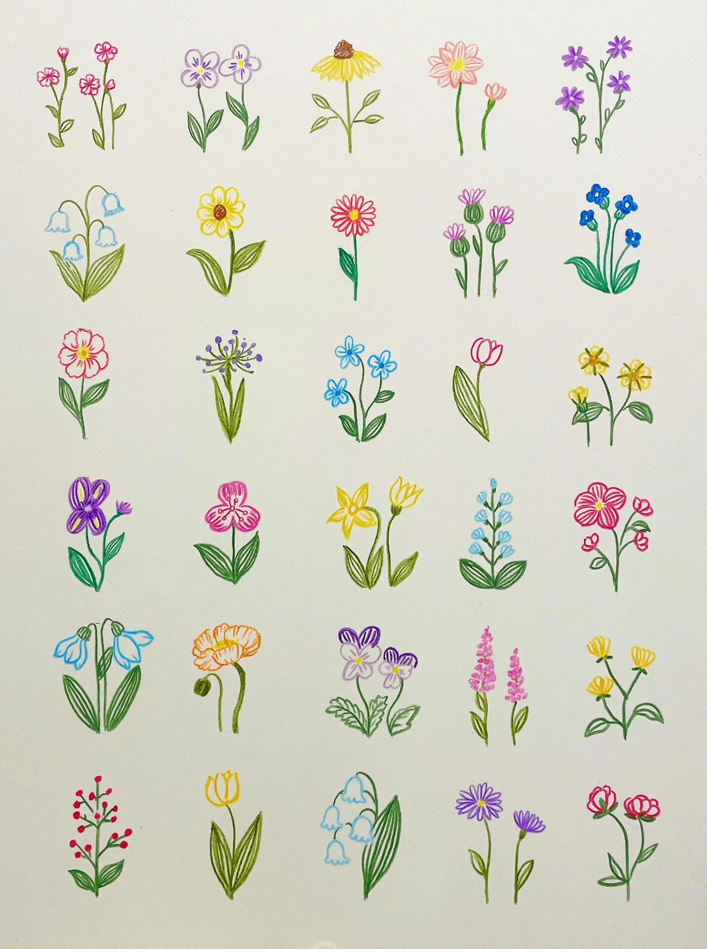 彩铅花朵简笔画,花花让人开心