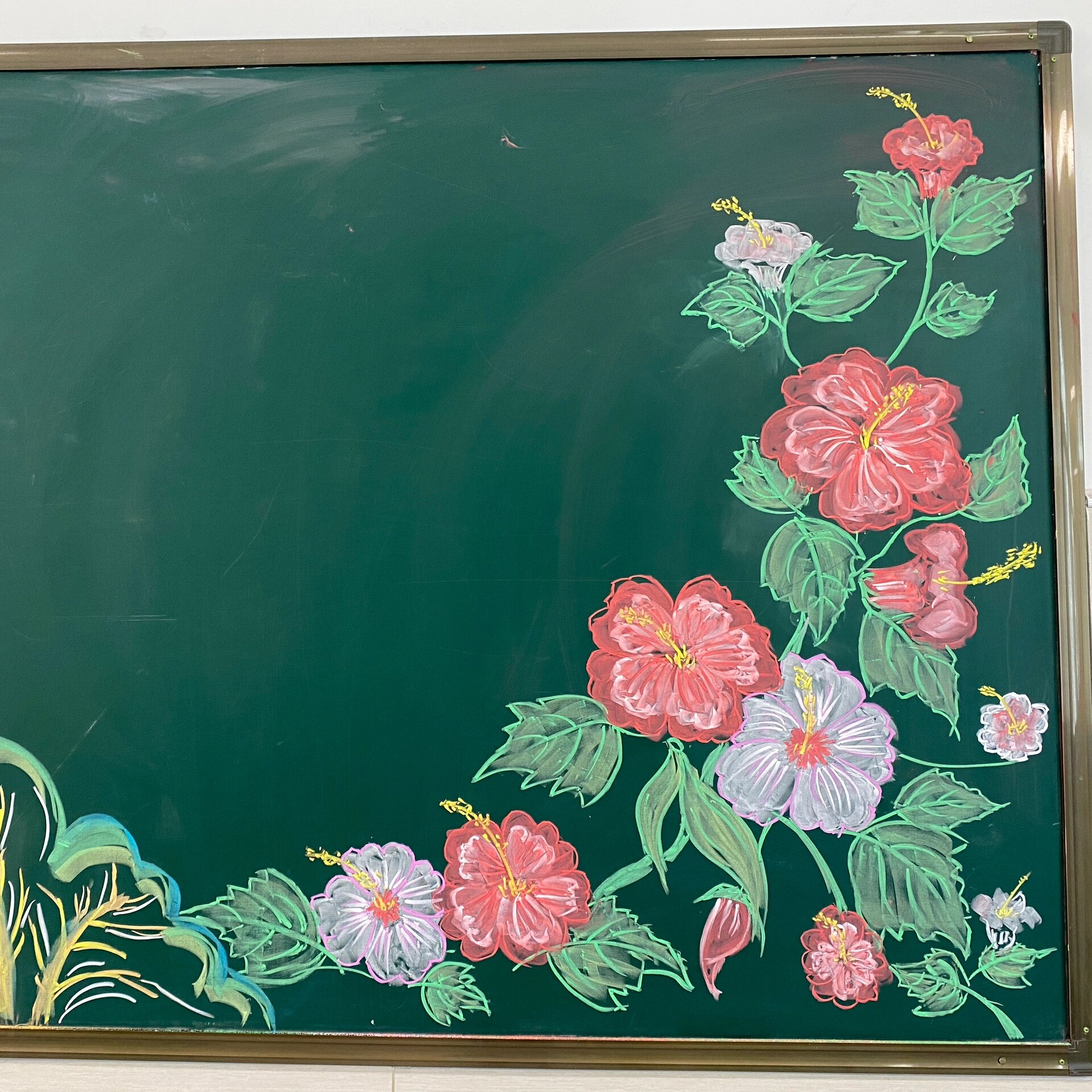 芙蓉牡丹花粉笔画98开学季黑板报