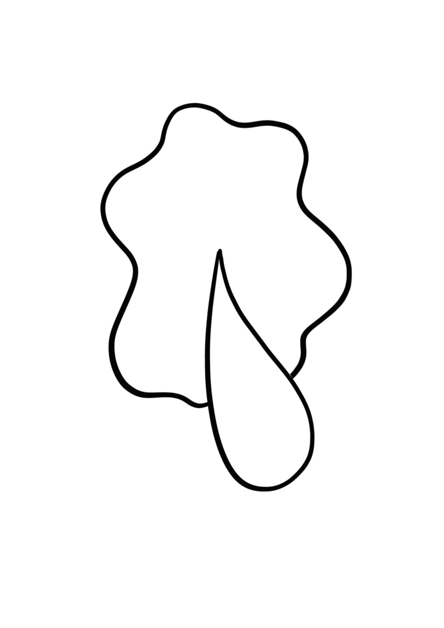 简笔画教程分享 白菜