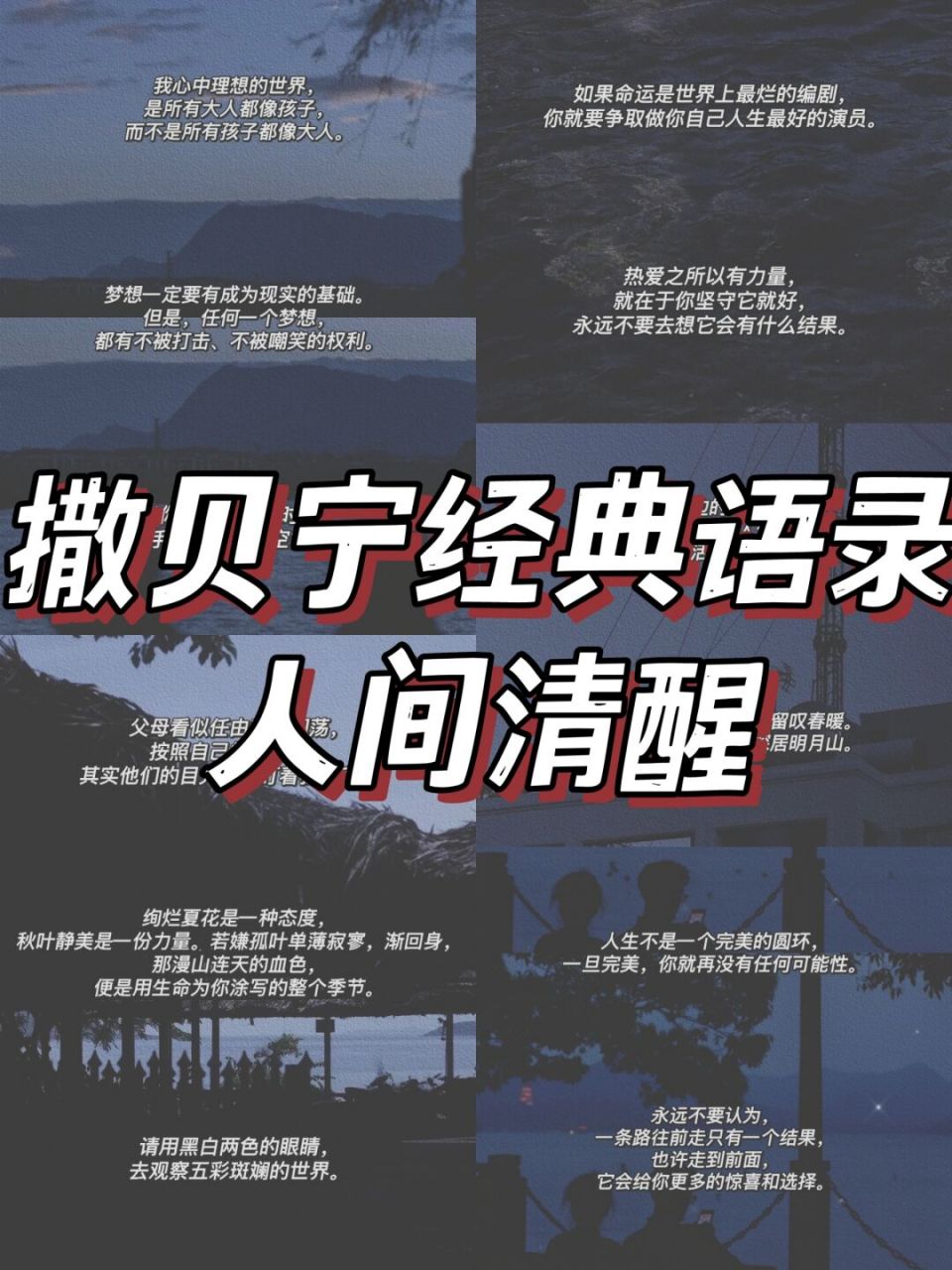 盘点撒贝宁经典语录97字字都是人间清醒 #日常碎片plog# 哈喽,大家