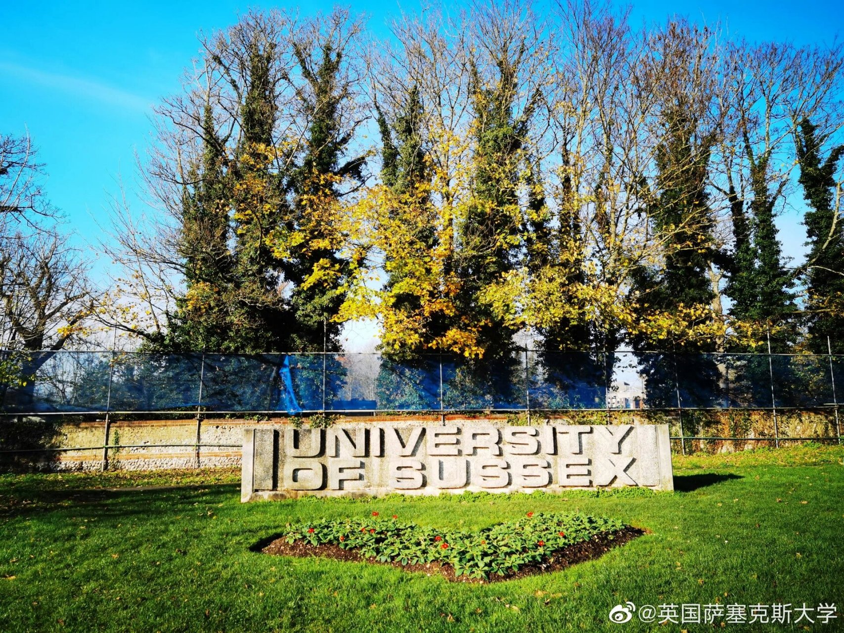 英国🇬🇧|萨塞克斯大学|英国留学🇬🇧 🇬🇧 qs全球排名第