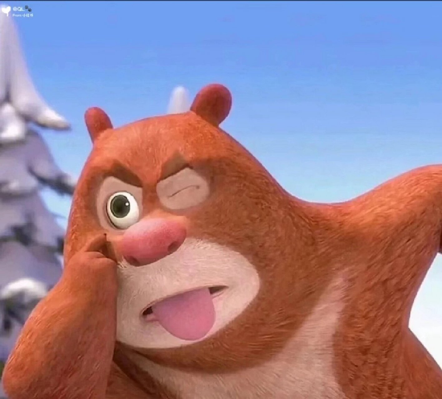 来波熊出没头像壁纸合集