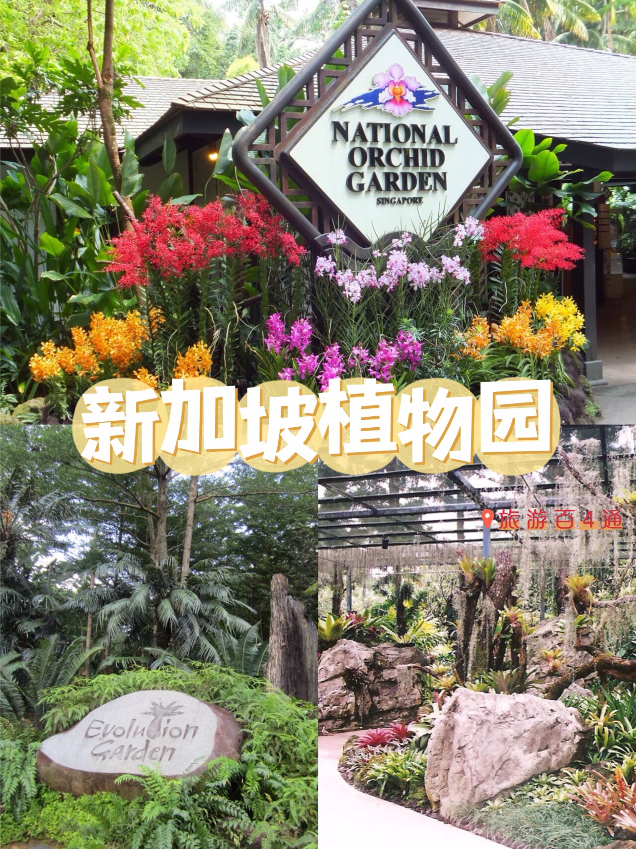 游览90新加坡植物园 90新加坡植物园是首个联合国教科文组织世界