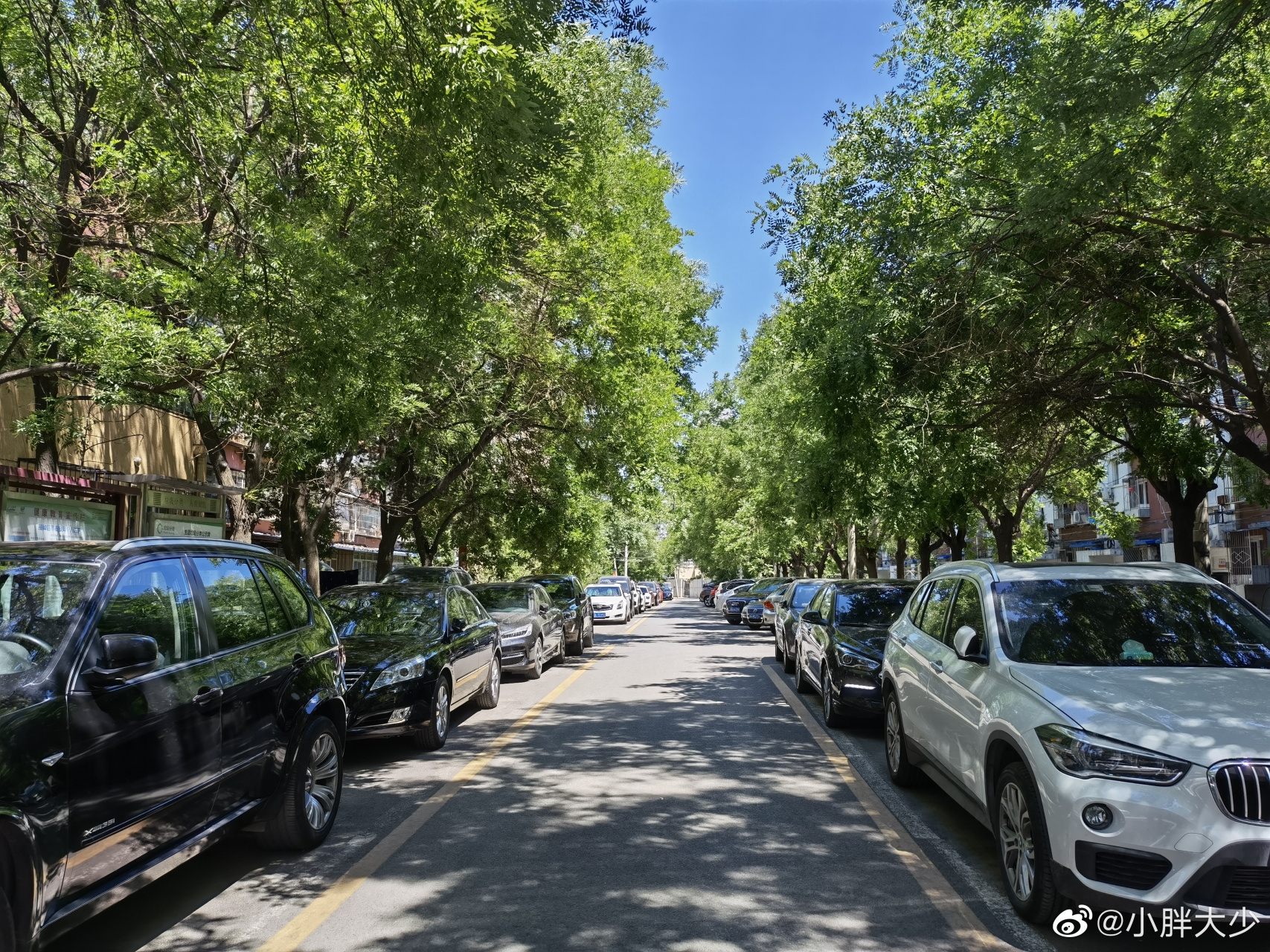 今儿看看安贞西里,这小区环境可以说非常的棒了,绿树成荫,大中午的,从