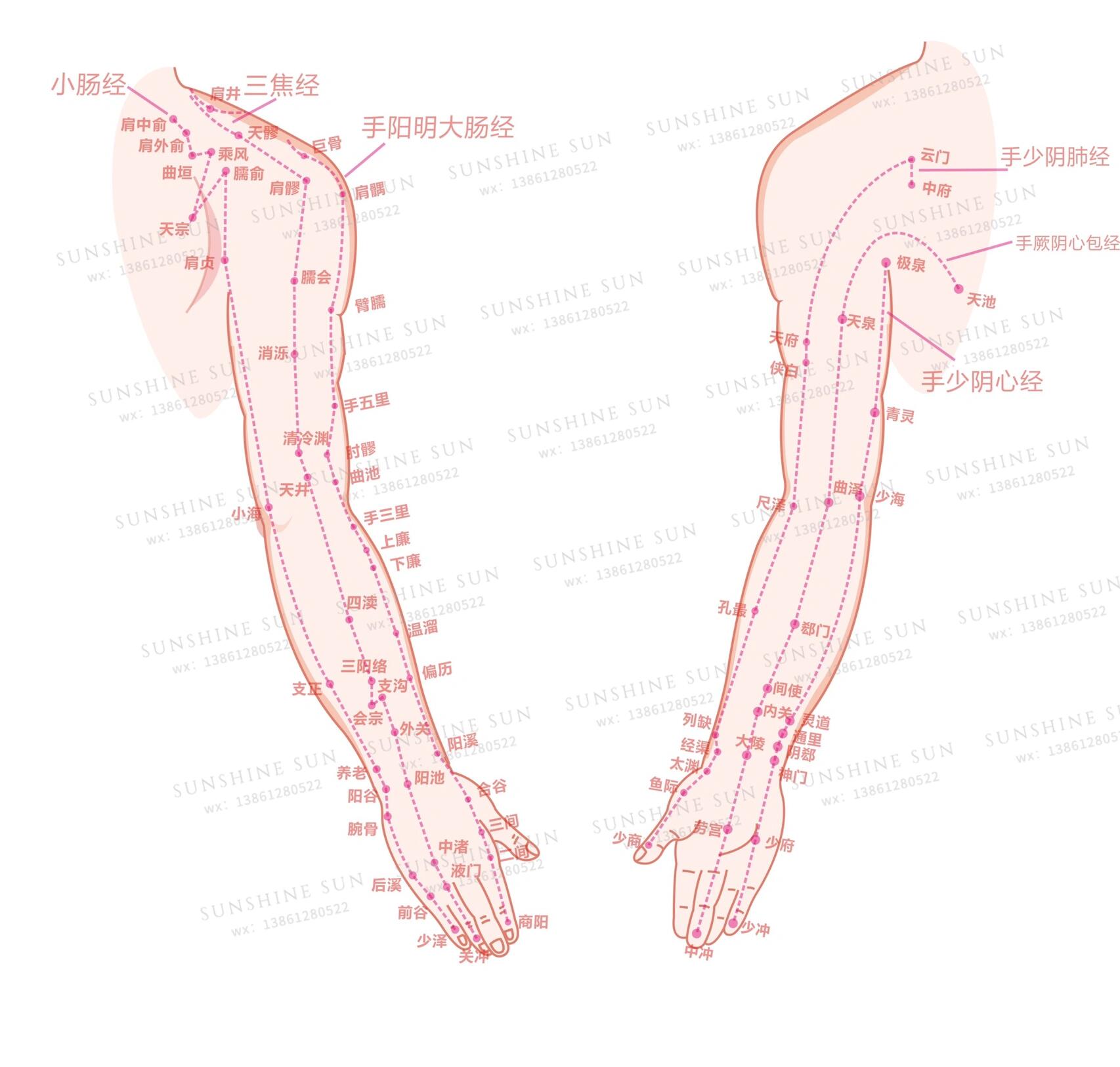 女性手臂经络图高清图片