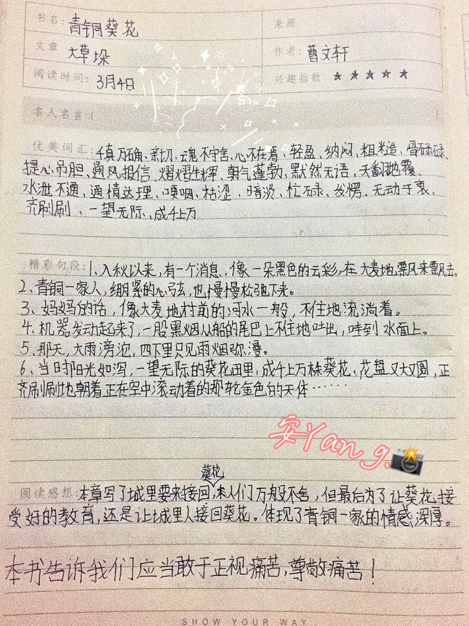 《青铜葵花》读书笔记(完)