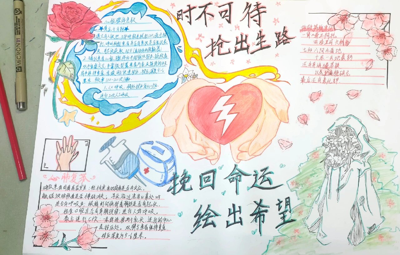 急救手抄报