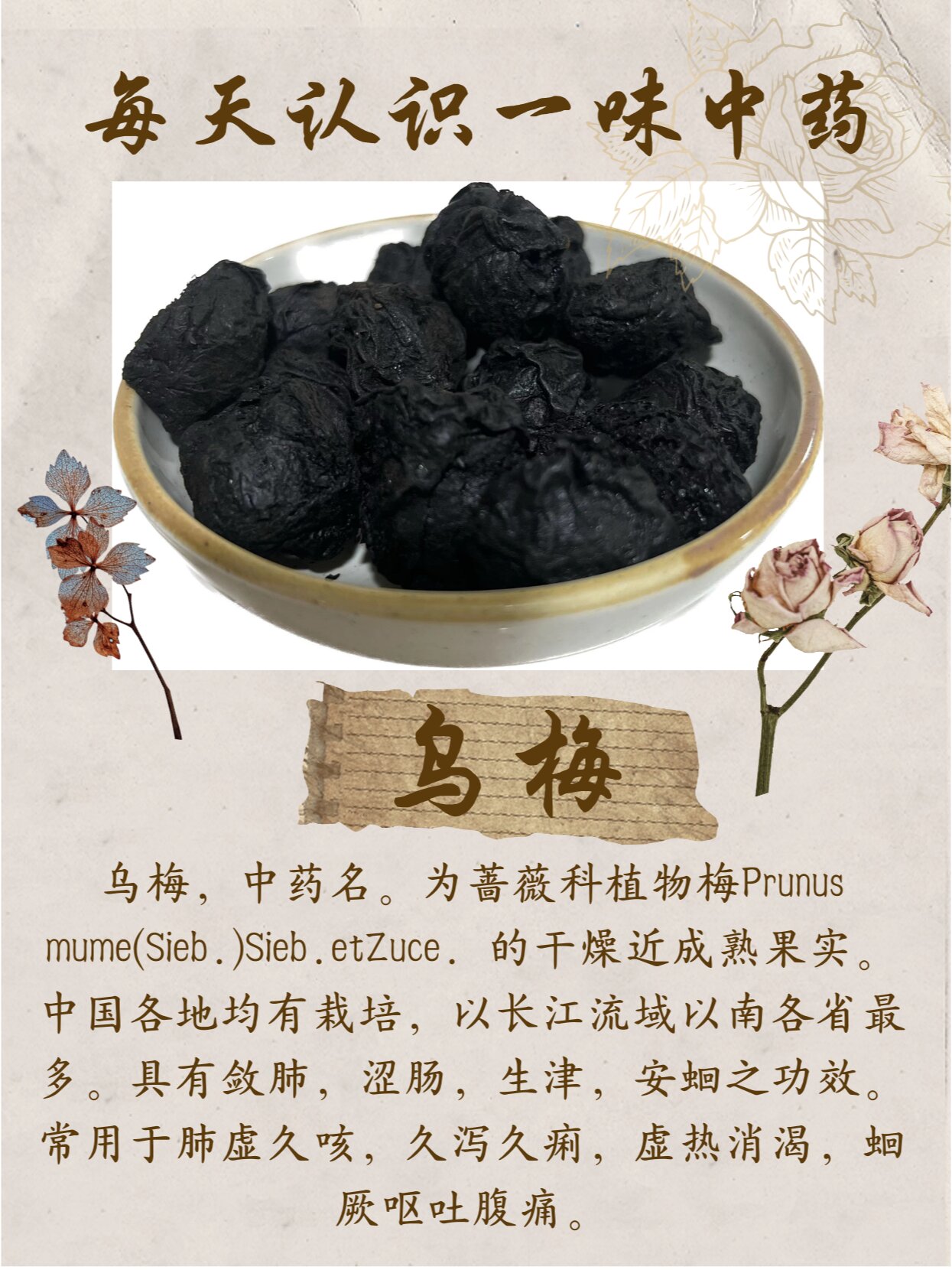 每天认识一味中药——乌梅 乌梅,中药名.