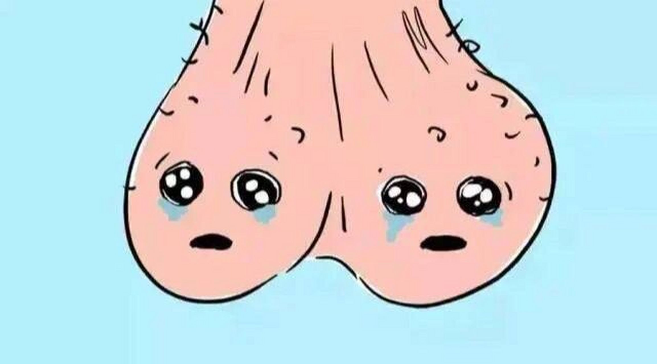 男人的蛋蛋有什么用? 对男性而言,生殖系统健康至关重要.