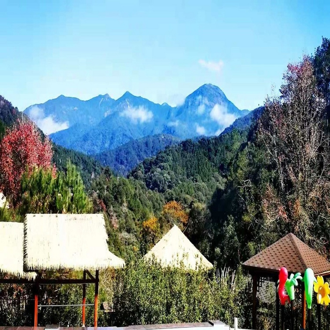 德化塔兜御汤宫温泉度假村~畅泡山林温泉 95 95 95 号外号外