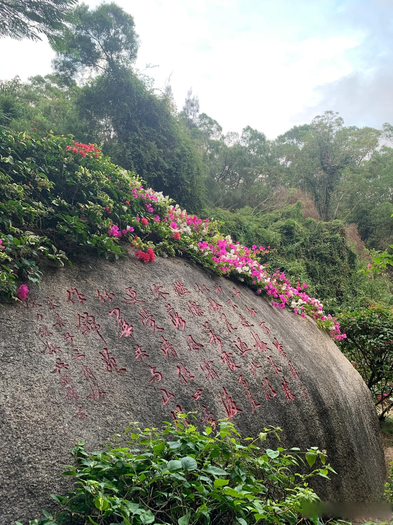 年初走东坪山的健康步道林海线时就看到指示牌上有一处叫梅海岭的