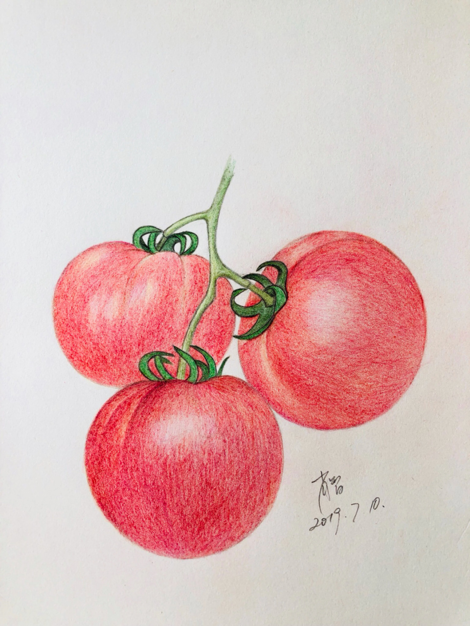 编号249(原创) 8k素描纸 红辉柏嘉60色水溶性红盒彩铅.