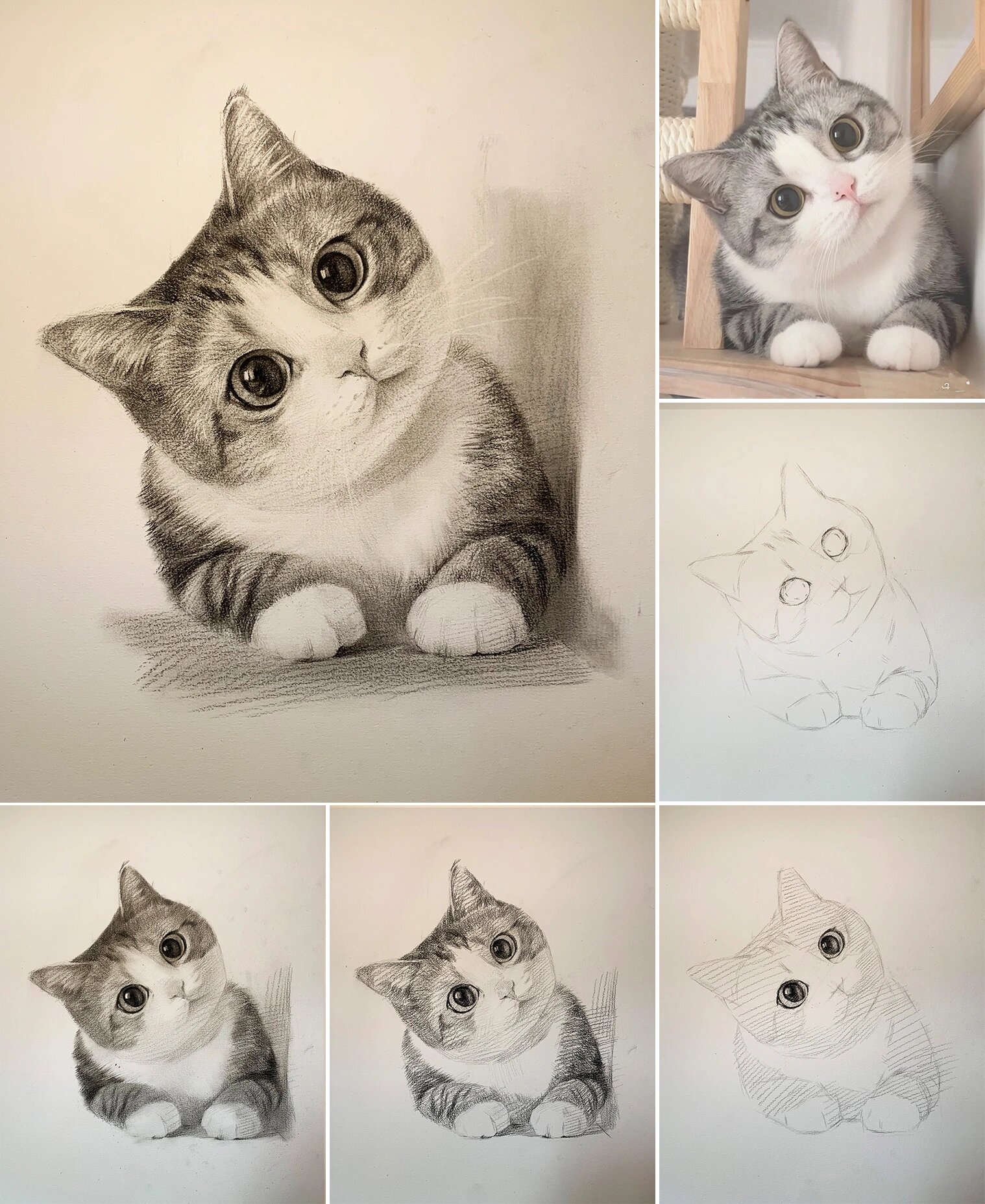 超可爱猫猫素描步骤图