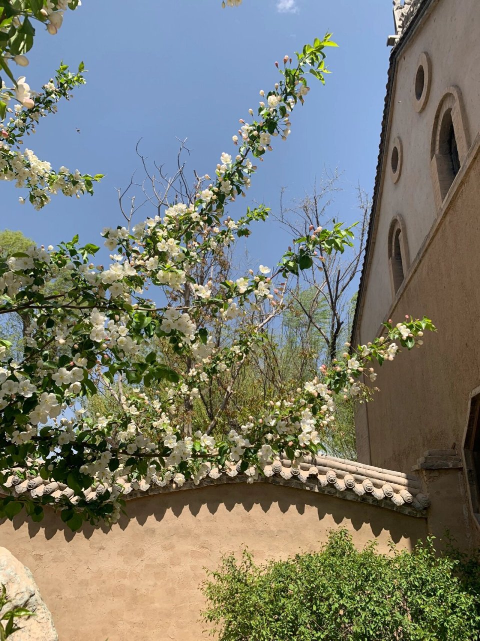 【回家记-1】青海省海东市平安县平安驿民俗村 【时间】2021年4月29日