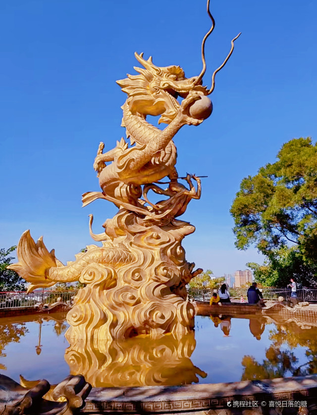 深圳聚龙山公园|人少景美还免费的聚龙山公园,你打卡了吗?