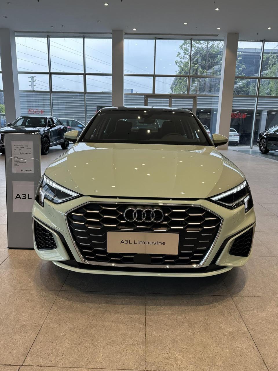 奥迪a3l 喀纳斯绿.