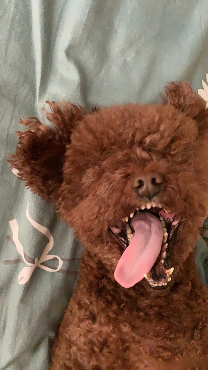 西安4.9准备#安迪lilandy##深蓝儿童indigochildren