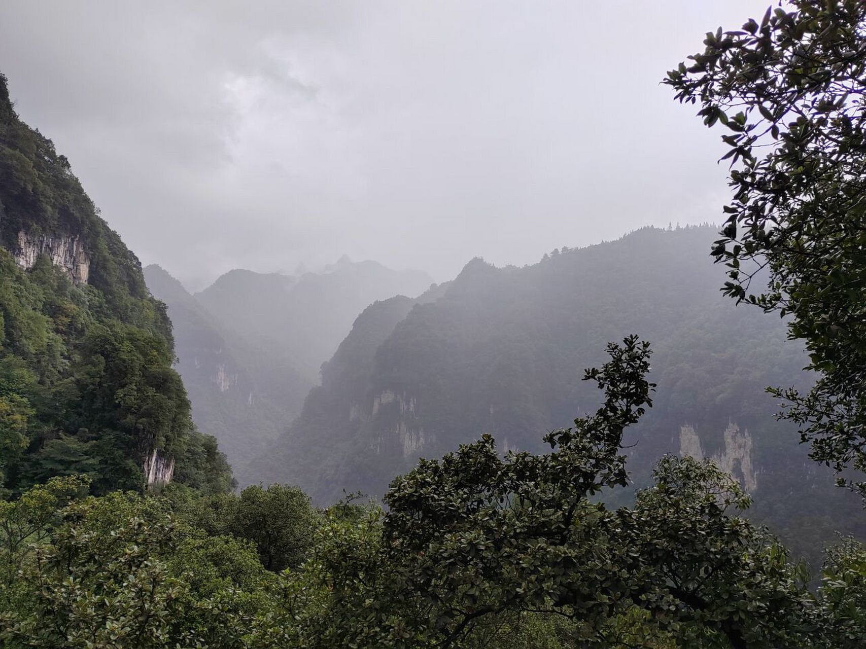 贵州毕节大方县油杉河 - 超小众 油杉河景区很大,我只想去仙宇峰,去的