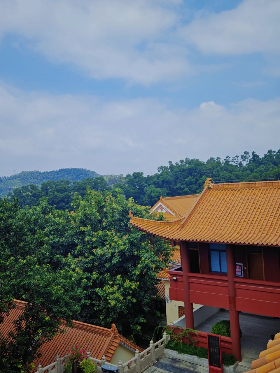 深圳弘法寺,上香拜佛,周末好去处 99深圳仙湖植物园/弘法寺 交通