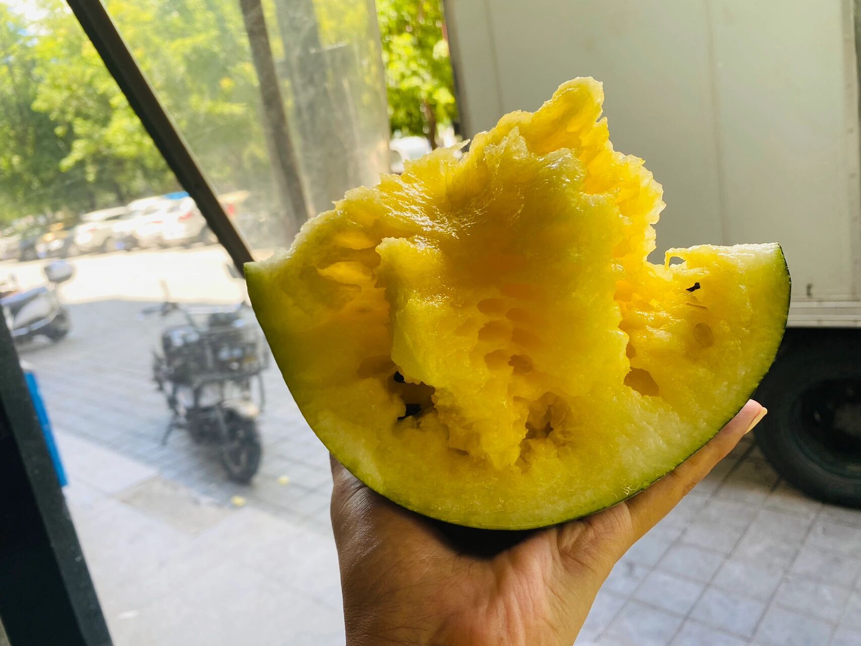 打瓜91 算内蒙的专属水果吗 别的产区可能都是用来做瓜子 我们才