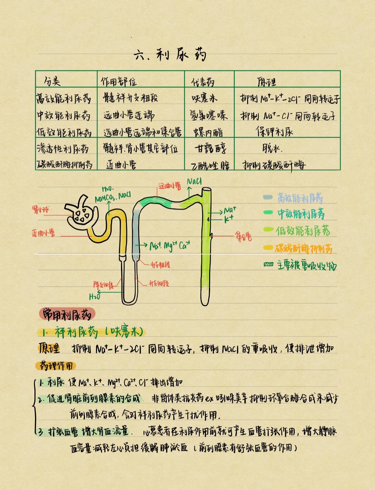 为什么要排钠呢为什么在线 为什么要排钠呢为什么在线