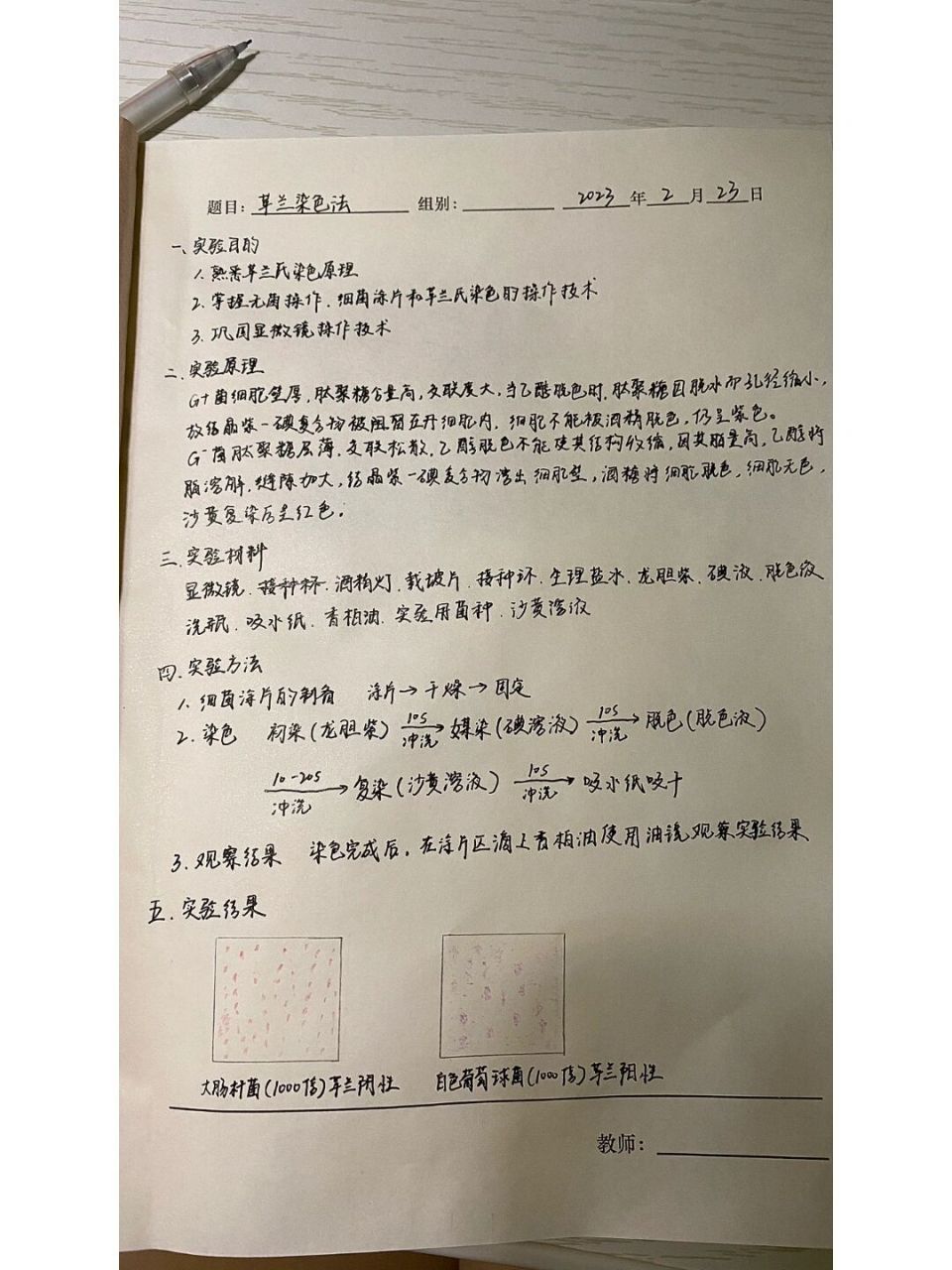 革兰氏染色实验报告  的第一次